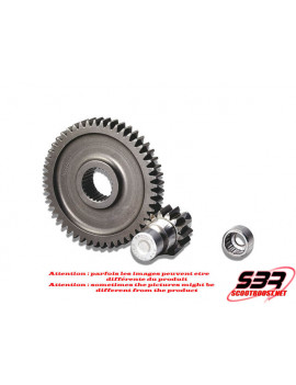 Engrenages Sec. Roller Gear Malossi z 14/47 (Force 17mm)